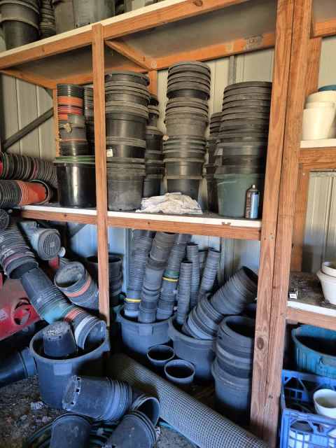 Pots And Lots Of Pots Seedling Trays S Potting Bagseyc Pots