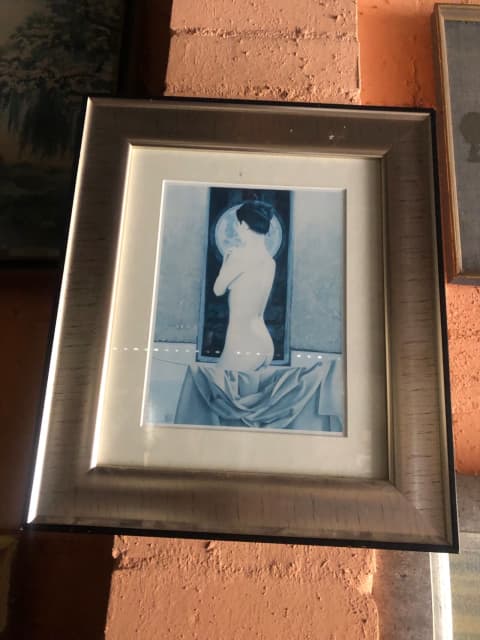 Silver Framed Picture Of Nude Woman Art Gumtree Australia