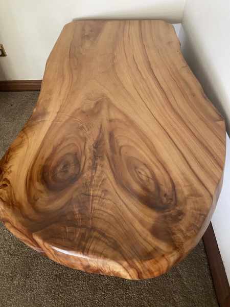 Camphor laurel slab coffee table 62863375451522112