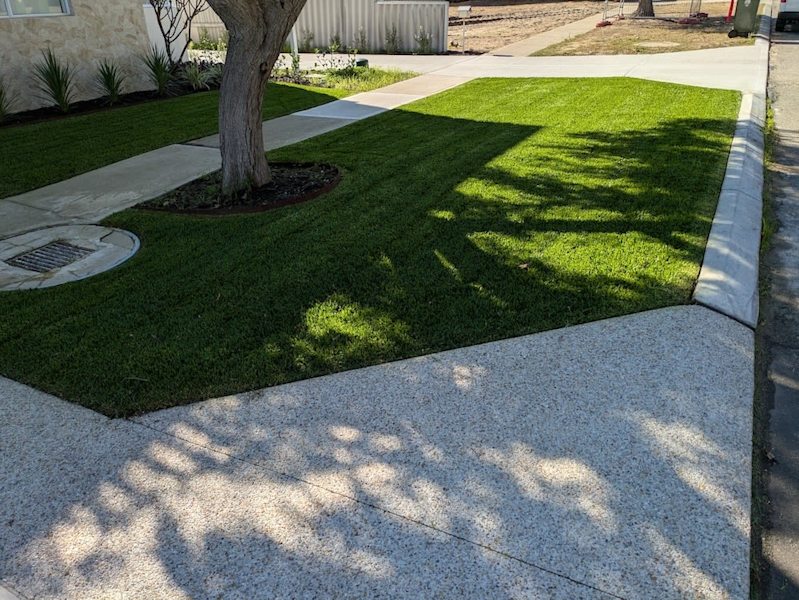 Lawn Mowing Services: Wembley - Mt Hawthorn - North Perth62864726589955112