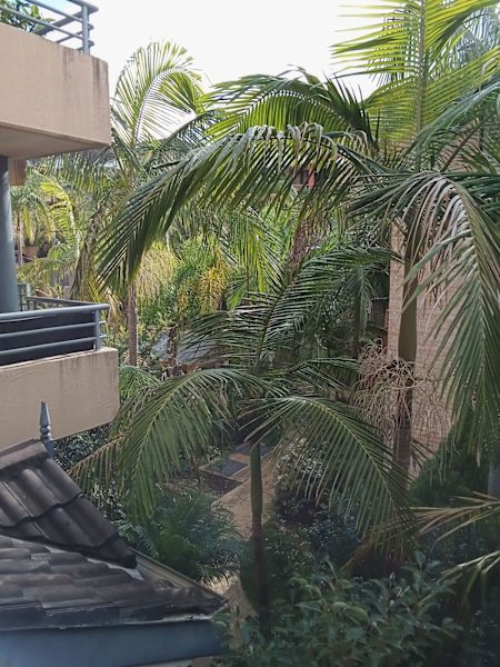 Female single room, own private bathroom own adjoining Balcony63007555985666112
