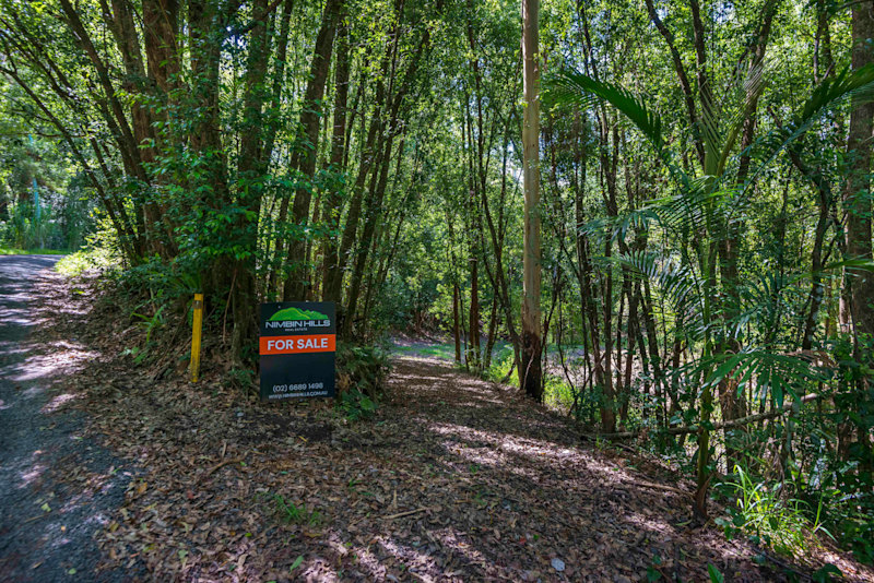 The Rainforest Retreat of Your Dreams62885360162177112