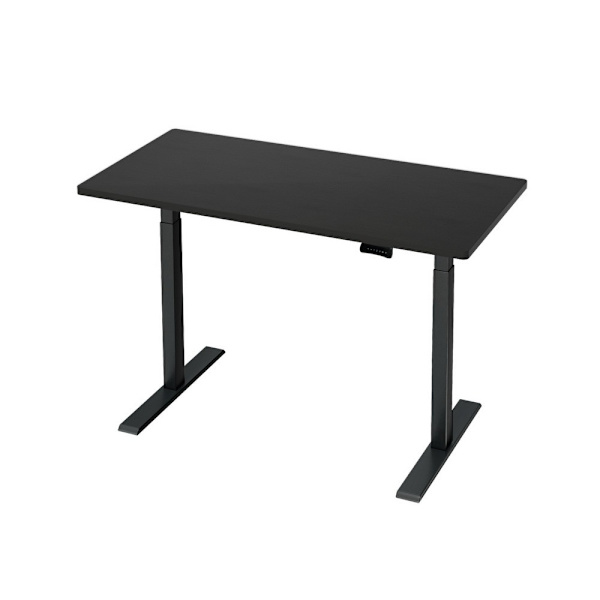 Standing Desk Motorised Dual Motor Black 120CM62863839573122112