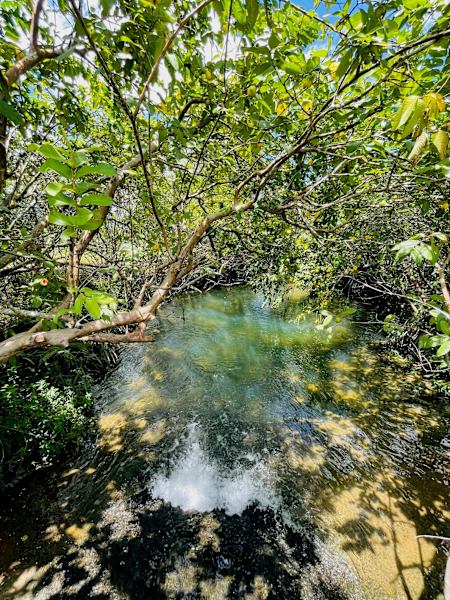 Just Over 7 Acres with Seasonal Creek !62886414072066111
