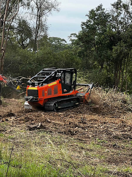 Forestry Mulching62863392317827114