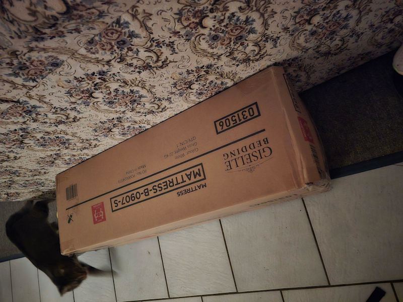 brand new single mattress in box 62863371904385112