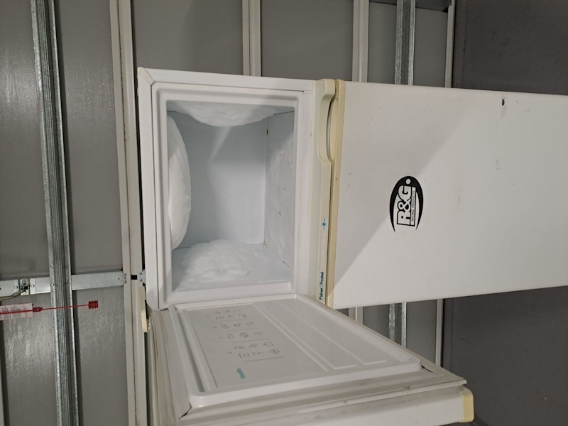 Refrigerator - Fisher and Paykel - 248L63023535767809114