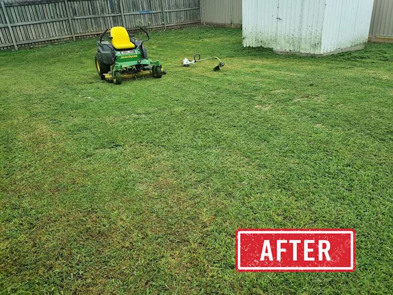 Lawns lockyer Valley 62863843693954114