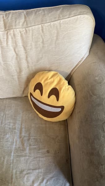 Poop emoji shop pillow kmart