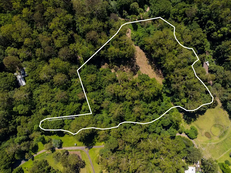 The Rainforest Retreat of Your Dreams62885360162177111