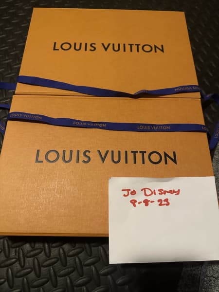 Louis Vuitton LV Box (20cm x 29cm x 11cm), Luxury, Accessories on