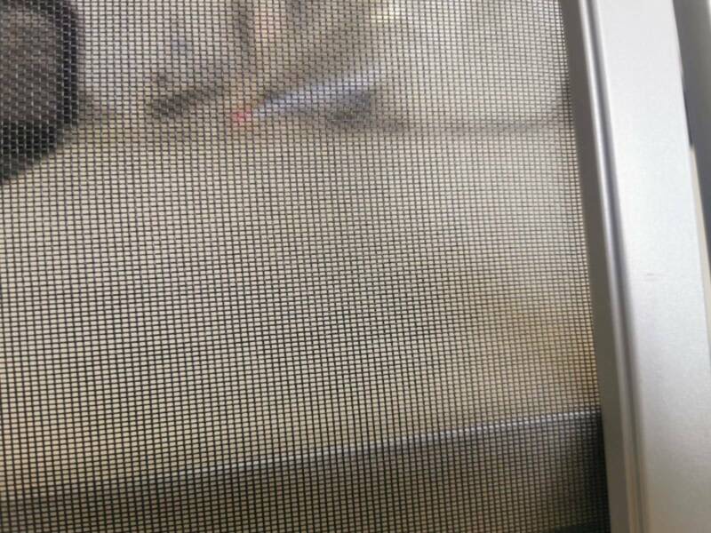 1220mm x 30m Miniweave Midges mesh ROLL63007394436355114