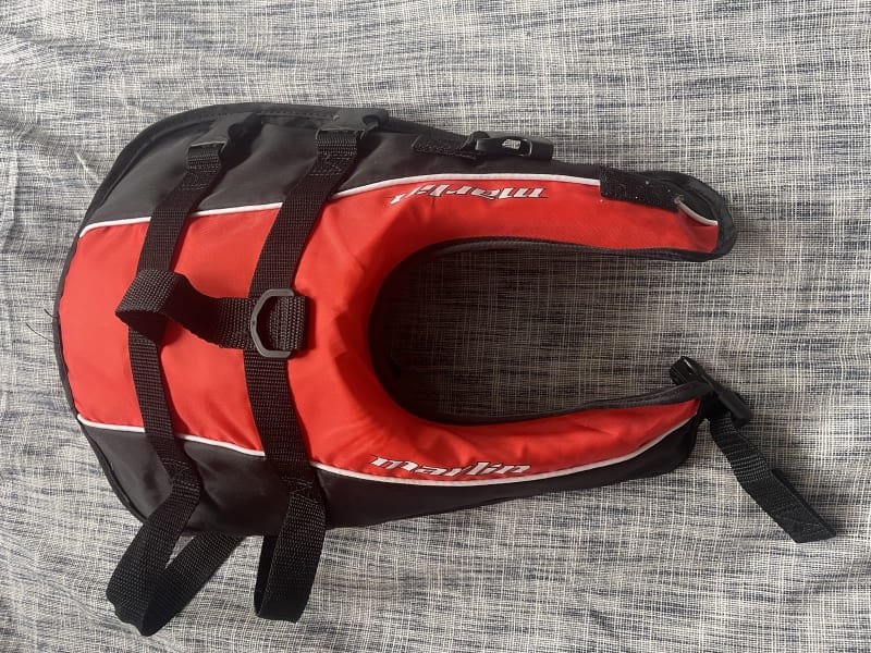 Top more than 78 golden life jacket super hot in.thdonghoadian