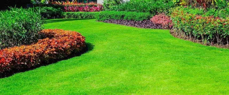 Illawarra First choice mowing62863843479426113