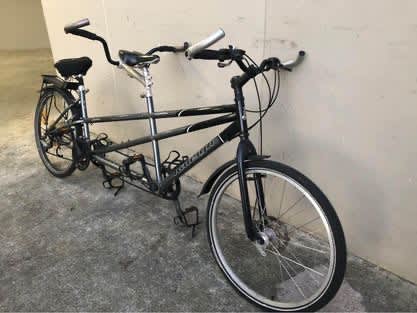 Raleigh companion tandem bike hot sale