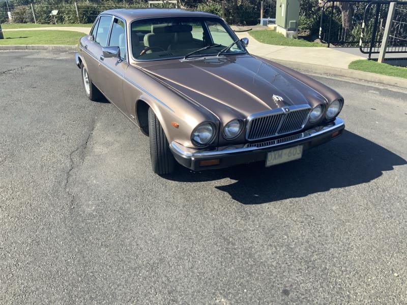 JAGUAR XJ6 VANDA PLAZ 1985629356882504991112