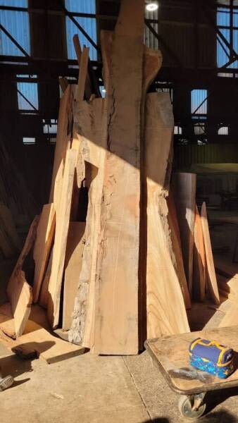 4550mm Undressed Mackay Cedar Timber Slab63005707692802112