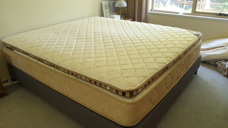 chapman plush mattress