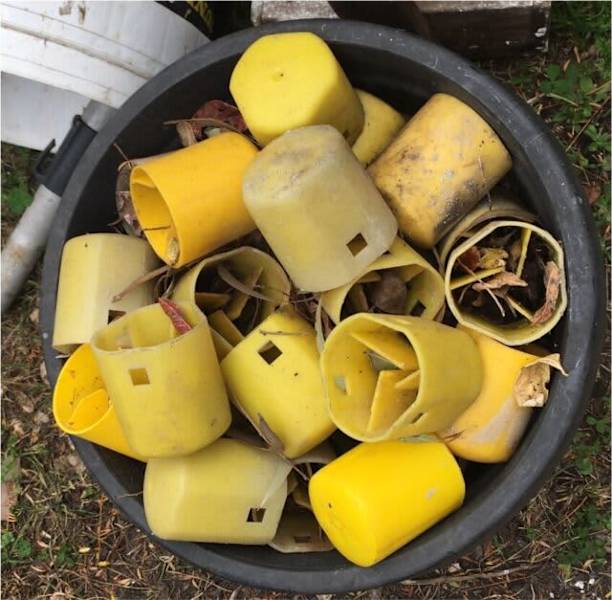 Temporary fence cap ends63439421747971110