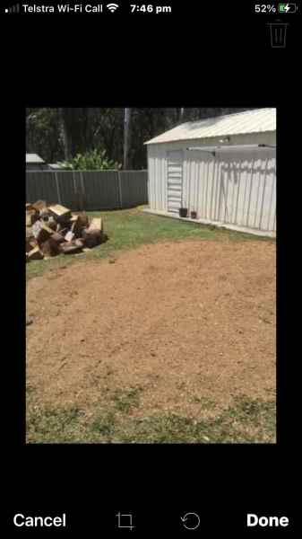 STUMP GRINDING & TREE REMOVAL ALL AREAS FREE QUOTES FULLY INSURED 62863392254211114
