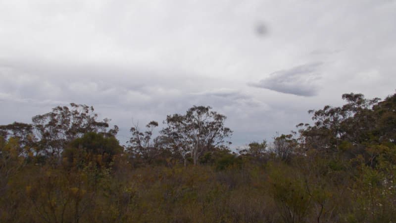 Land ,Lawson ,in Blue Mountains , NSW63438993018627113
