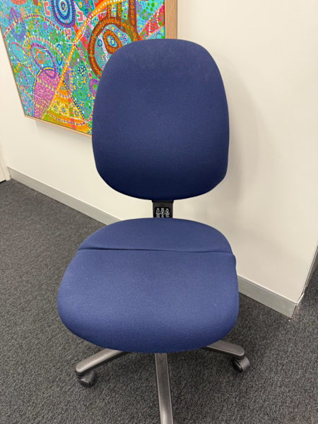 Blue Ergonomic Office Chairs628633694812191114