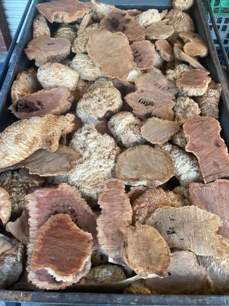 Amazing collection of hardwood softwood & exotic timber slabs & burls63439076025346112