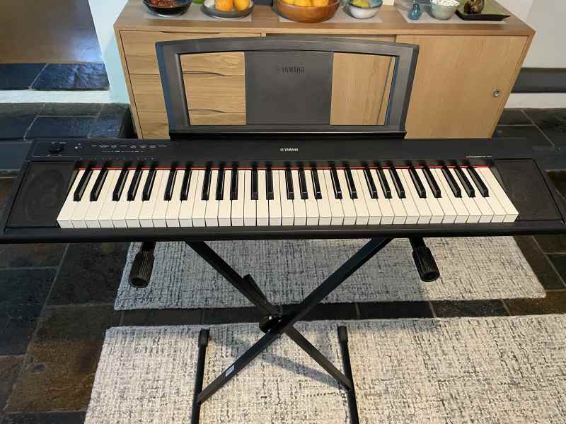 yamaha piaggero np11 stand