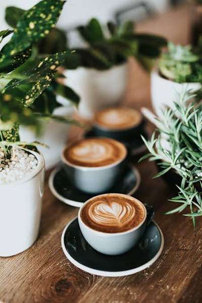 Well established Cafe for Sale63438166315393117