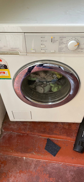 Free Miele 20 year old washing machine. Shakes but still works. 63013784617987111