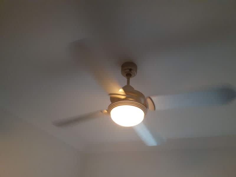 Ceiling Fans With Light And Remote Brisbane Shelly Lighting