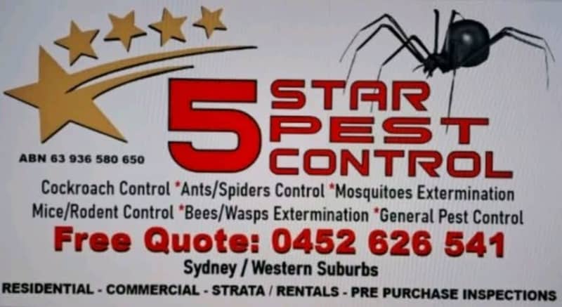 Spiders of the Southeast - Turner Pest Control