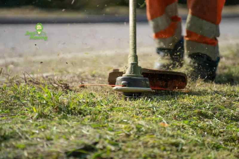 Illawarra First choice mowing62863843479426114