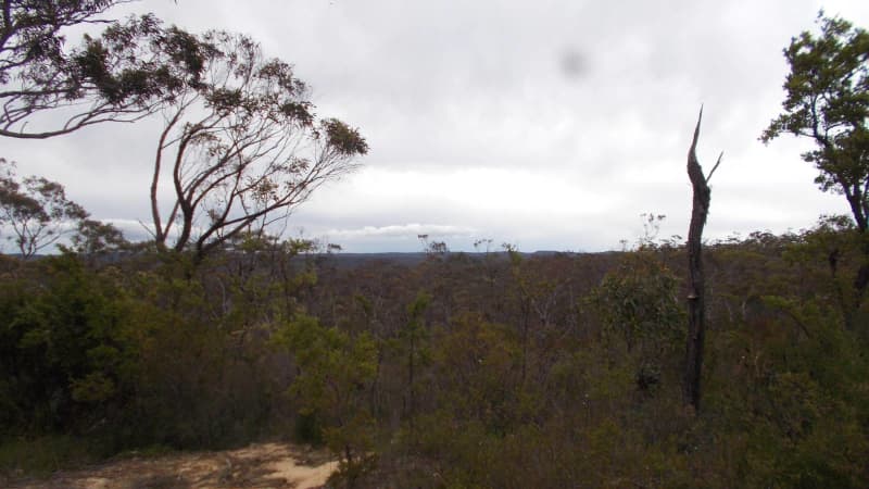 Land ,Lawson ,in Blue Mountains , NSW63438993018627111