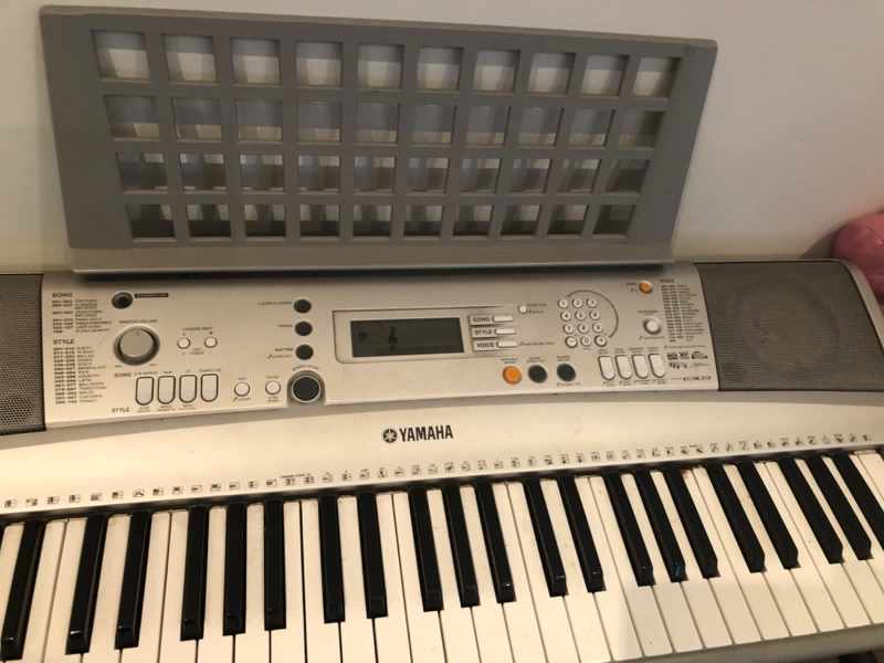 yamaha e303