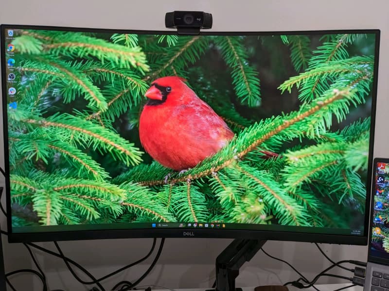 Dell S3221QS - 4K 32 Inch Curved Monitor | Monitors | Gumtree Australia  Salisbury Area - Paralowie | 1310103044