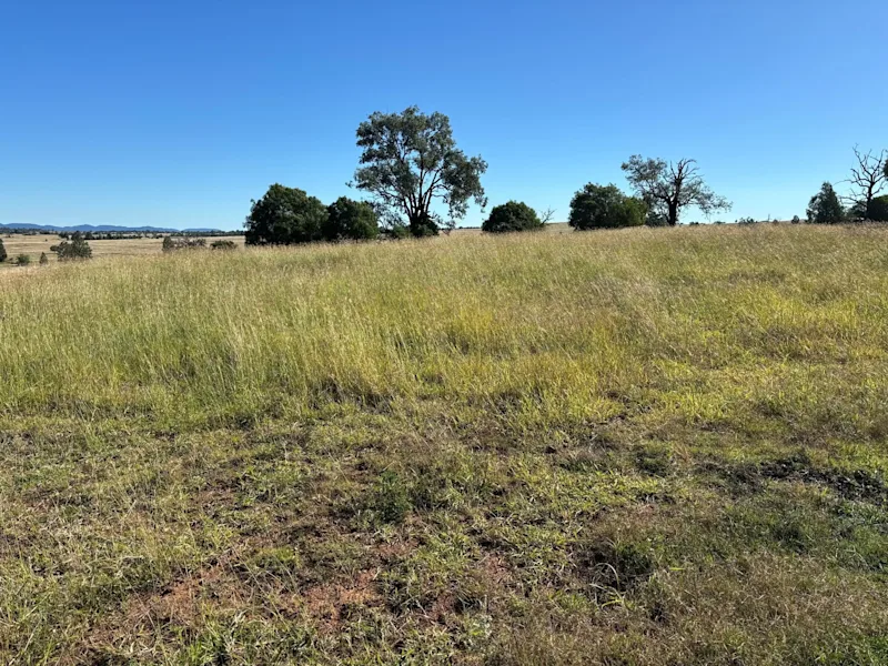Prime 9-Acre Vacant Land on Bingaras Fringe - Build Your Dream Escape63006840998402112
