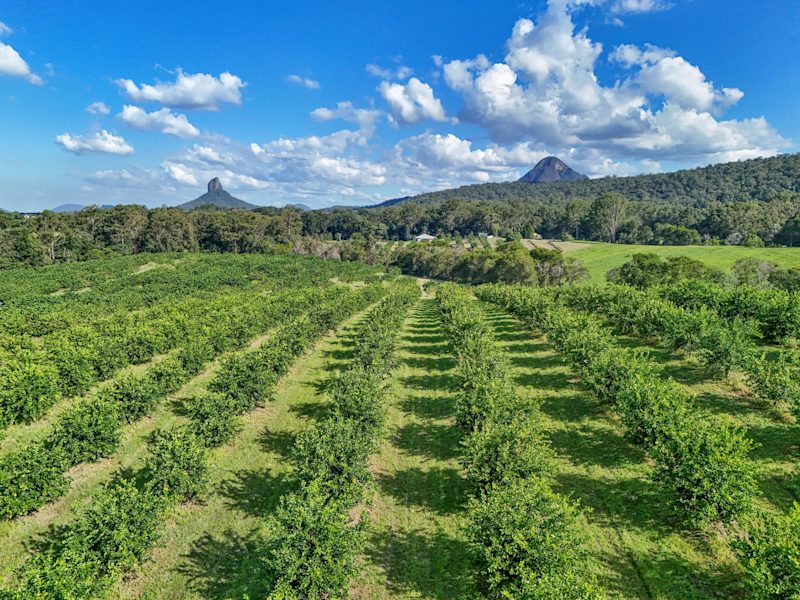 Prime Rural Opportunity!63006580196226112
