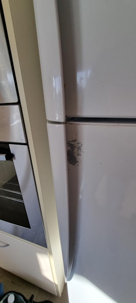Fisher and Paykel Refrigerator63016061970051112