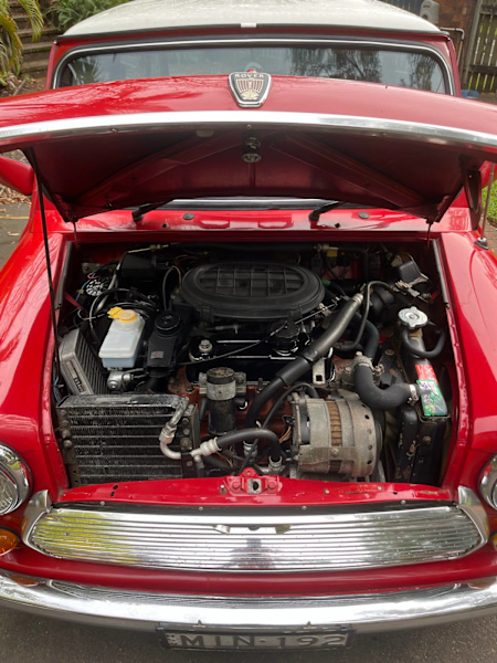 Morris mini62934698363138114