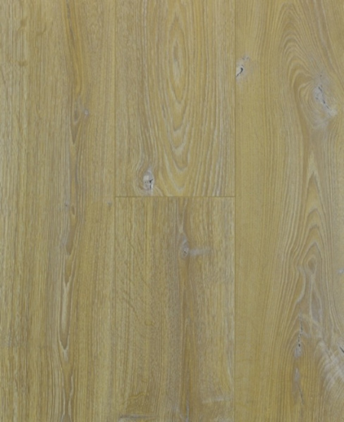 Clearance sale Laminate 12mm Trophy AC4- 8 colors63440221873537110