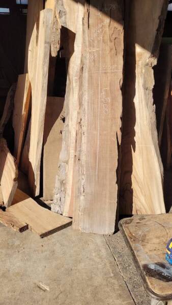 4500mm Mackay Cedar Slab- Undressed63005707718530113