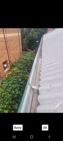 GUTTER CLEANING $25062995618569731113