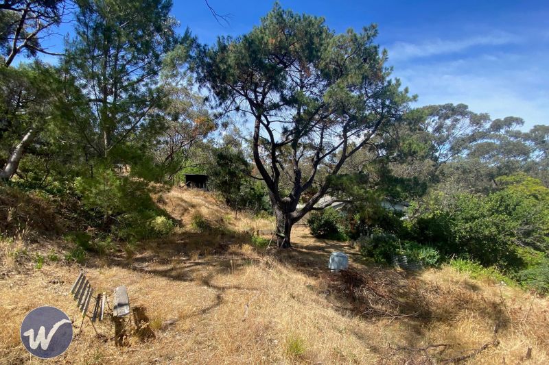 Stunning Vacant Land in Blackwood ? Opposite a Natural Reserve62885373931522114