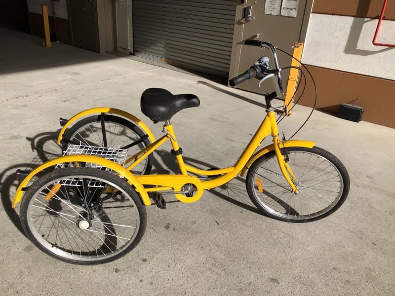 gumtree adult tricycle