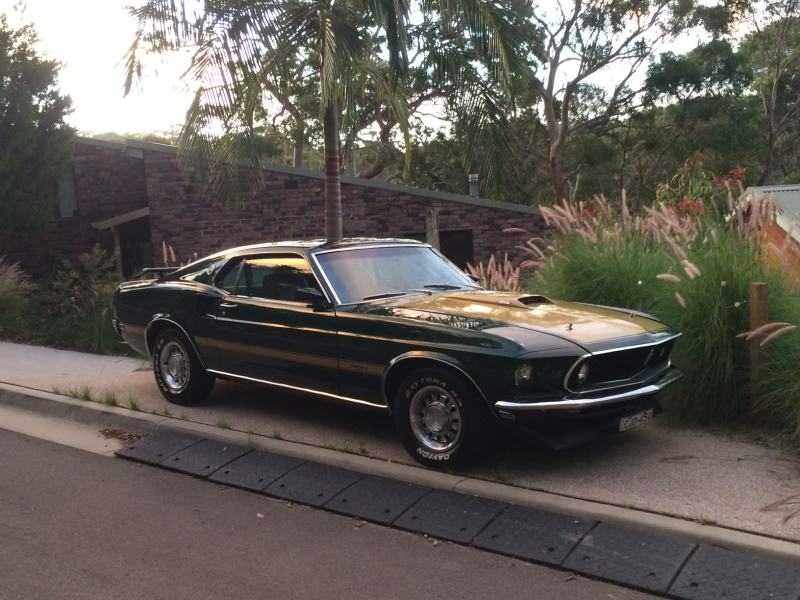 Ford Mustang Mach162932712499330114