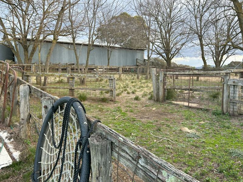 300 Acres ,Hunting and Lifestyle Land for sale62918283948802112