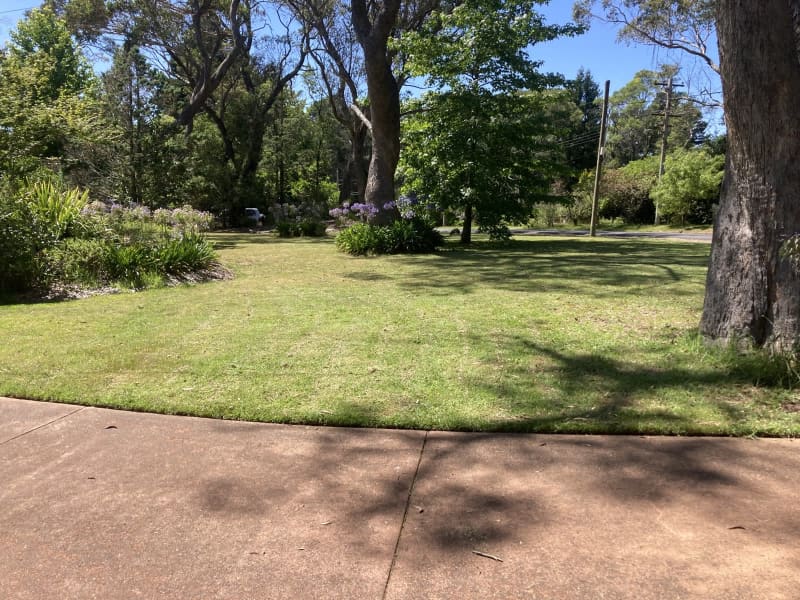 Mountains mowing & maintenance62863392462722113