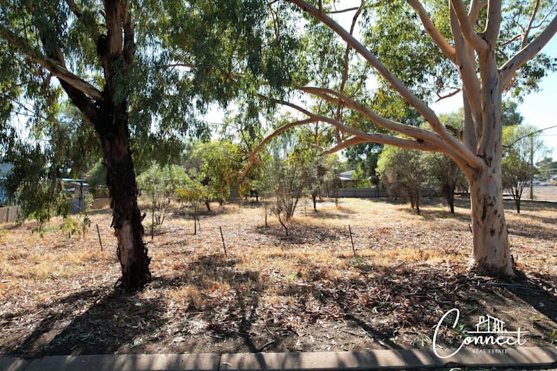 Vacant Land, step right up!62995741027459112