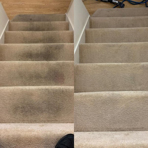 Shellharbour Carpet Cleaning | $99 For 3 Rooms62863842654339114